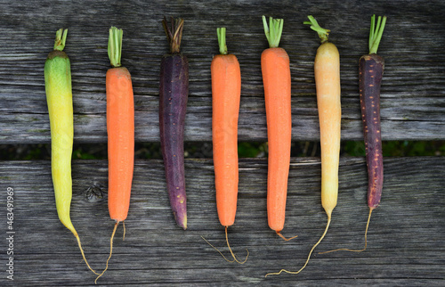 Peeled carrots of different colors lie next to each other on planks made of gray wood