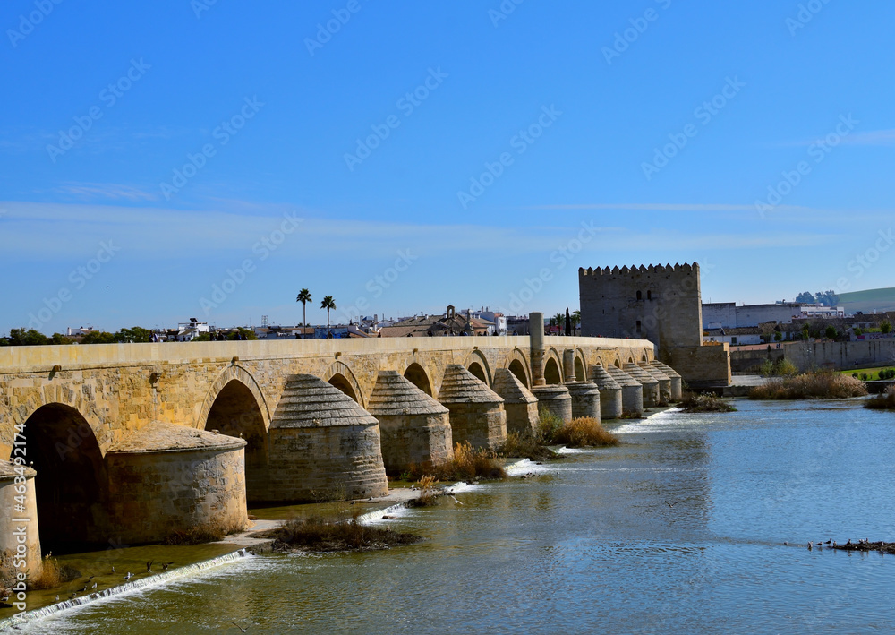 Roman Bridge over Guadalquivir River in Cordoba Spain
