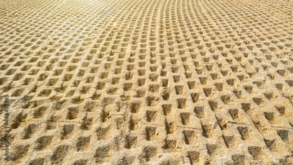 Compaction of soil at the construction site, compaction of soil before construction Compaction of soil at the construction site, compaction of soil before construction
