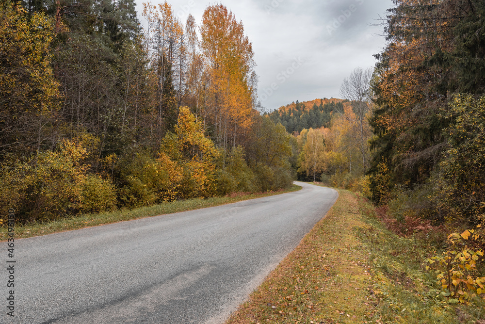 Countryside road at Ligatne, Latvia on beatiful autumn day