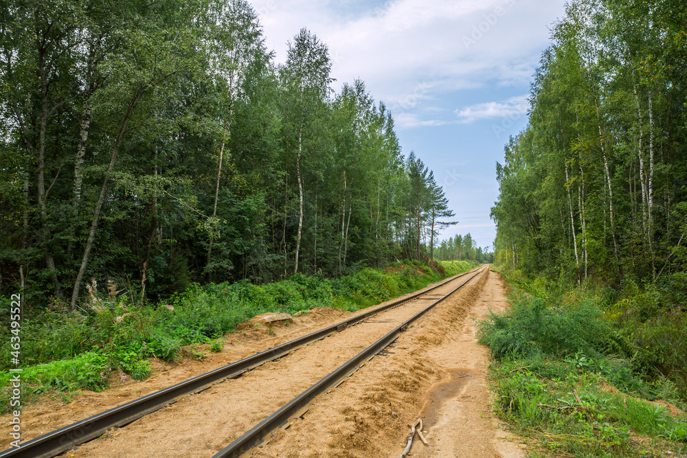 Fototapeta premium Railroad through the forest in the countryside. Russia