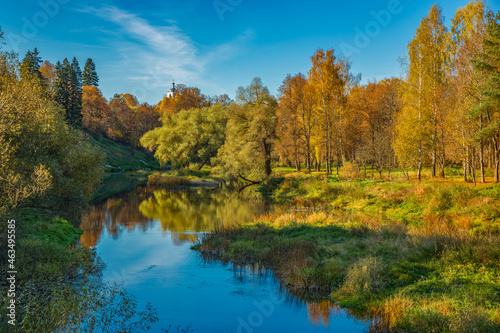 Autumn forest by the river, beautiful nature