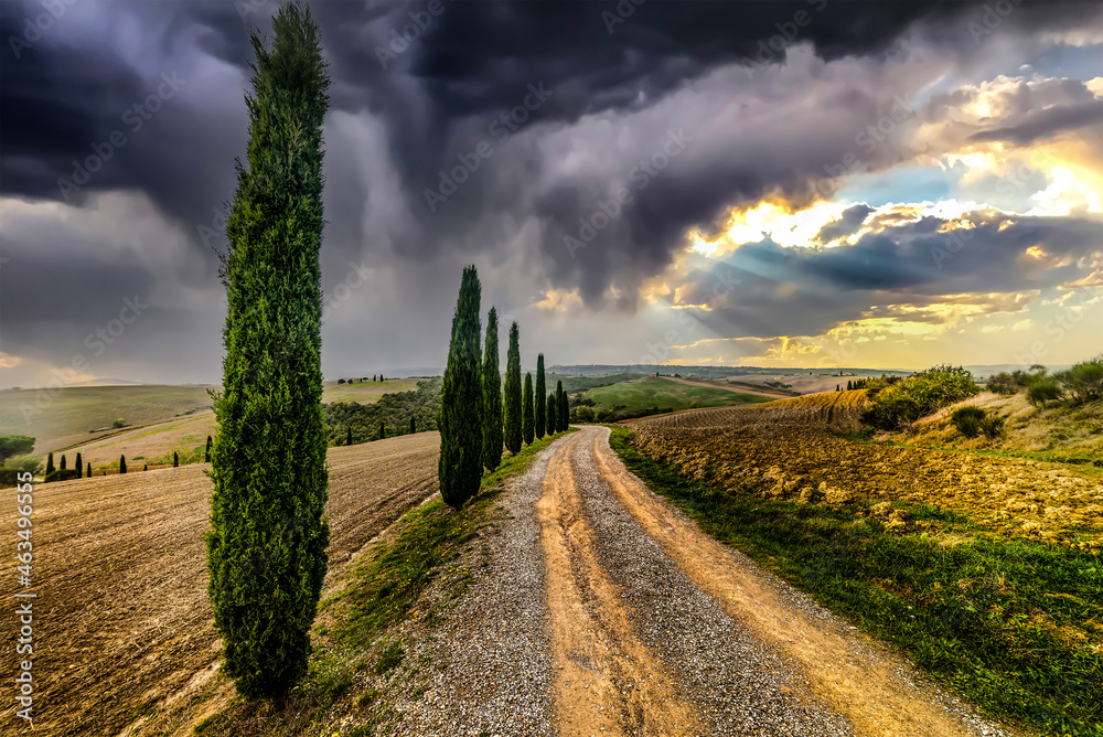 Dirt road with cypresses in Tuscany