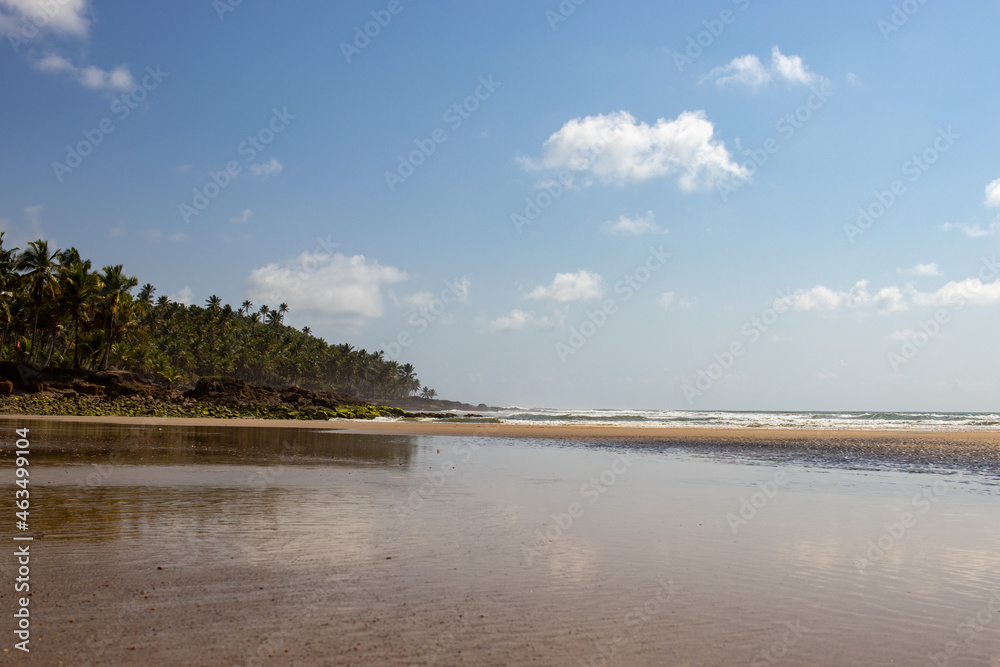 Jeribucaçu beach, in Itacaré, Bahia - Brazil. Beautiful landscape with rocks and coconut trees