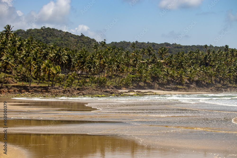 Jeribucaçu beach, in Itacaré, Bahia - Brazil. Beautiful landscape with rocks and coconut trees