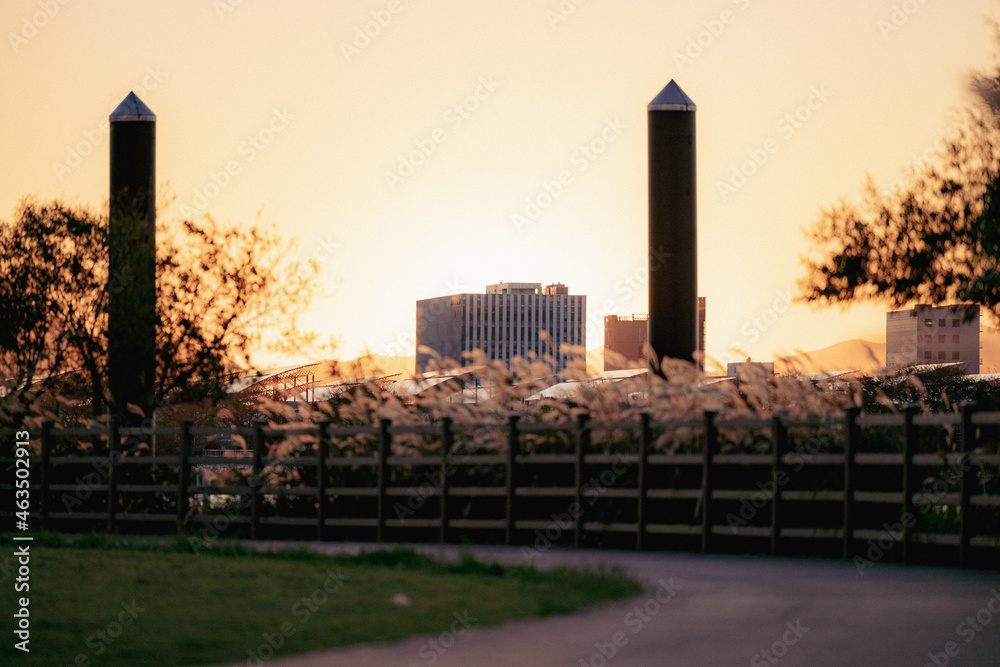 Fototapeta premium Sunset on the road