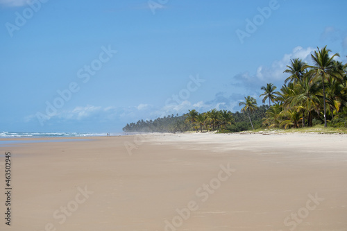 "Itacarezinho" beach in Itacaré, Bahia, Brazil - beautiful natural landscape, deserted beach © Renata Sattler