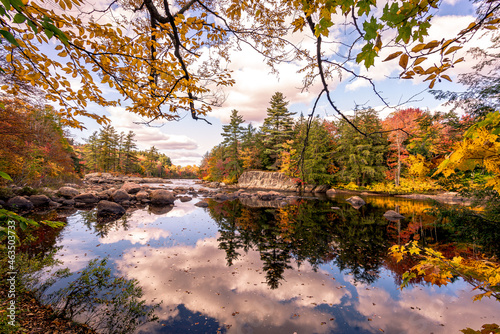 Fall Day On River with Trees and Leaves