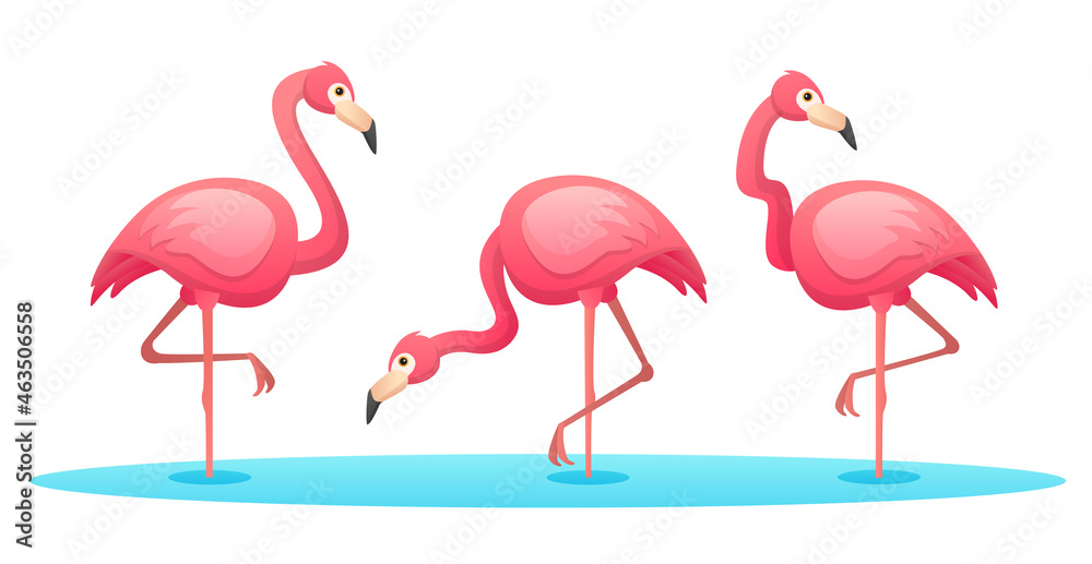 Obraz premium Set of flamingo in various poses cartoon illustration