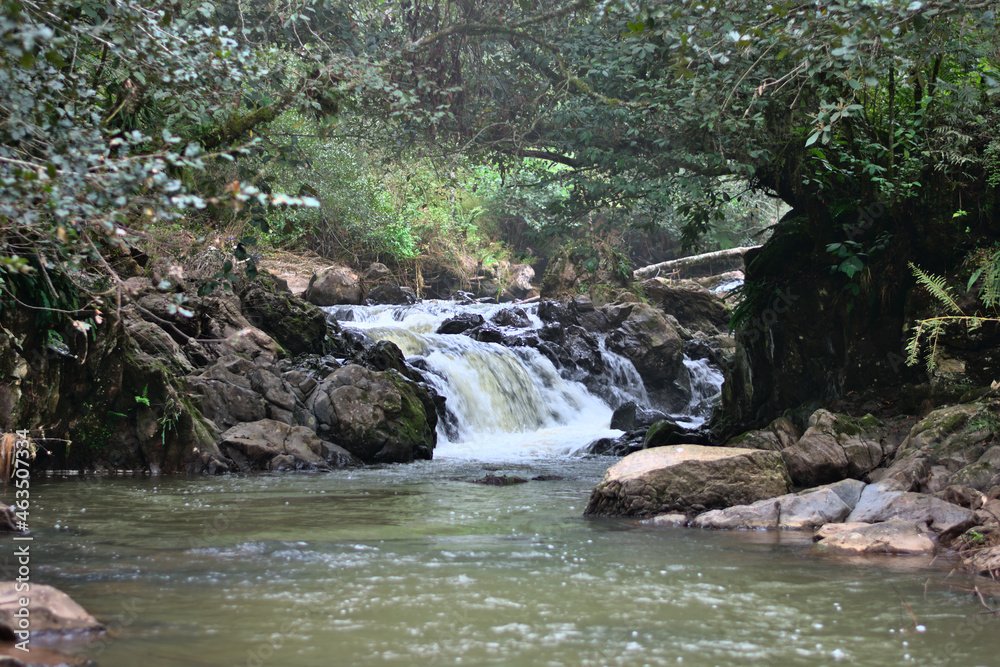 Small waterfall of a river in a forest Small waterfall of a river in a forest