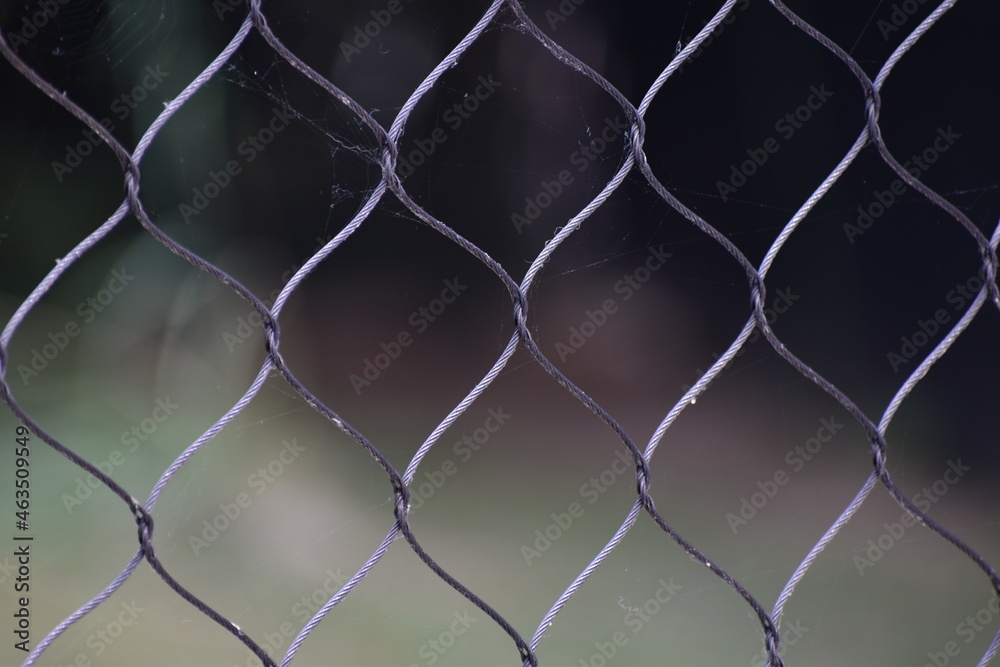 Fototapeta premium Closeup of Steel Wire Fencing 
