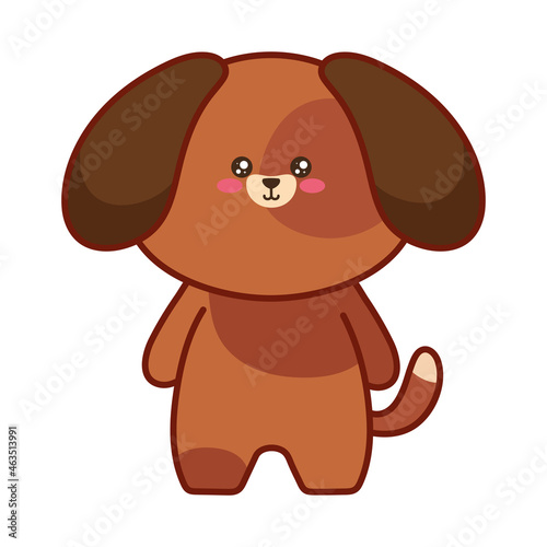 cute little kawaii dog