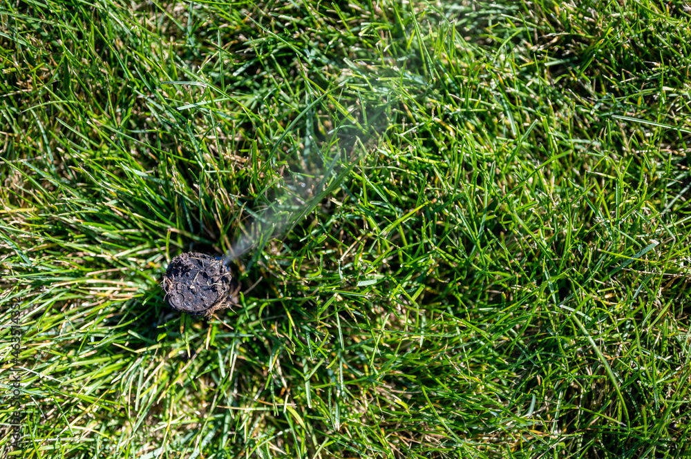 Obraz premium winterizing a irrigation sprinkler system by blowing pressurized air through to clear out water