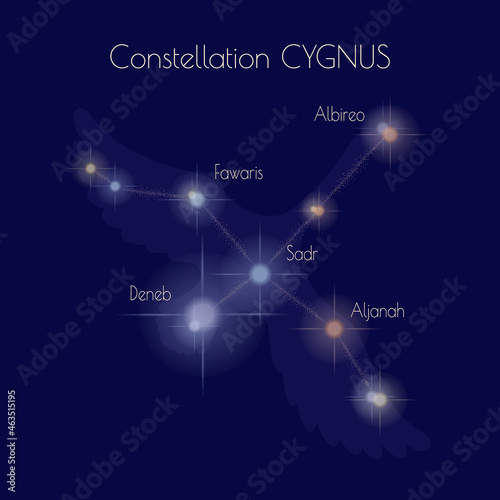 Constellation Сygnus on the background of a dark blue sky. Stars of the northern celestial hemisphere are Deneb, Sadr, Aljanah, Fawaris, Albireo. Outline of the swan. Informative poster. Vector. photo