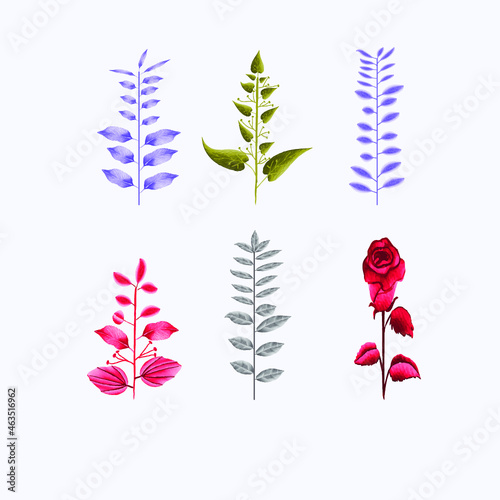 Watercolor flower frame Rose Eucalyptus. floral frame with copy space for text or letter - emblem for fashion, beauty and jeweler industry 