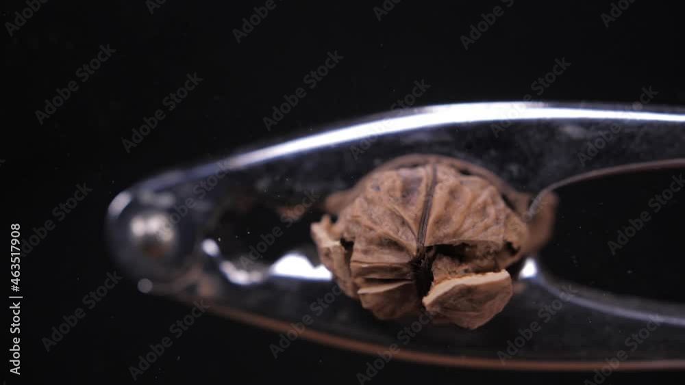 crush walnut with nut cracker slow motion