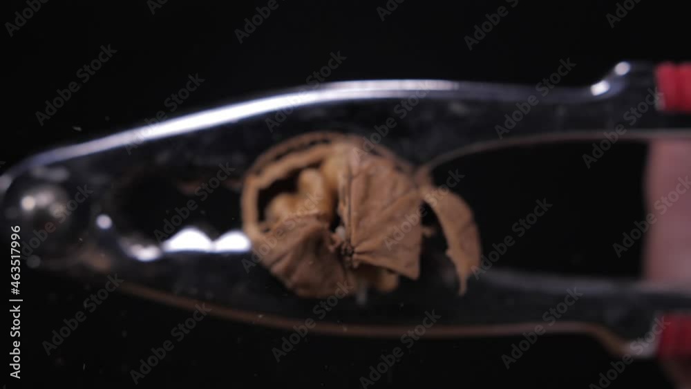 crush walnut with nut cracker slow motion