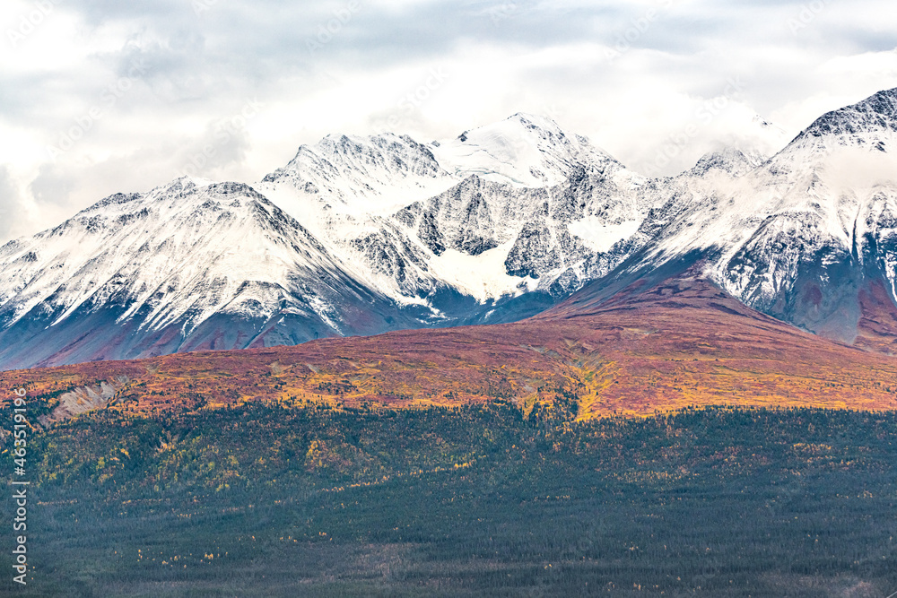 Stunning fall season, autumn in northern Canada during September on road trip vibes with snow capped mountains, golden and red boreal forest running down the mountain side. 