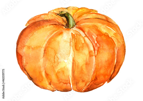 Billede på lærred Pumpkin by a watercolour
