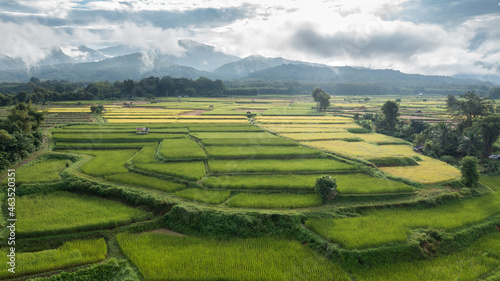 There were a lot of small houses in the rice fields. Northern Thailand's agricultural and rural areas