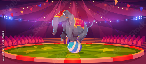Circus elephant stand on ball at big top tent arena with garlands. Carnival entertainment with wild animal acrobat performing on stage, funfair amusement park magic show, Cartoon vector illustration