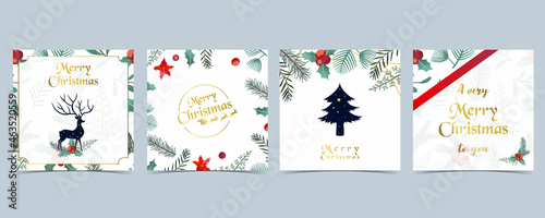 Collection of Christmas background set with holly leaves,flower,reindeer.Editable vector illustration for New year invitation,postcard and website banner