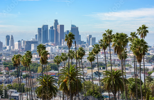 Cloudy day of Los Angeles downtown skyline and palm trees in foreground © chones