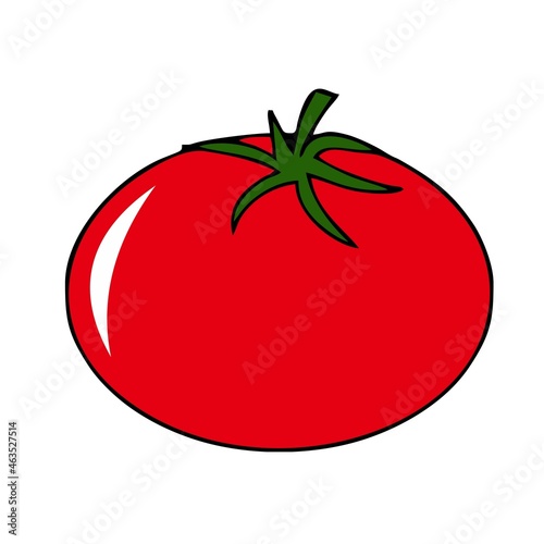 fresh tomato fruit with leaf isolated on white background