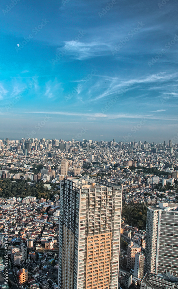 Tokyo skyline, Japan. Wonderful aerial view of city hi-rise skyscrapers Tokyo skyline, Japan. Wonderful aerial view of city hi-rise skyscrapers