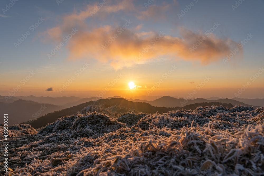 剣山から見える日の出と雨氷