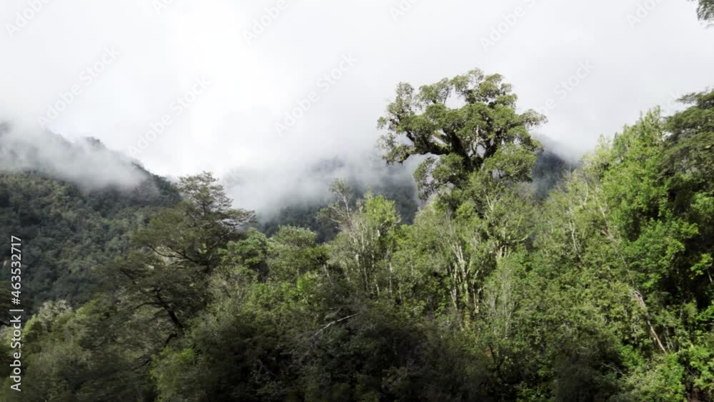 Panoramic view of hornopiren national park on a cloudy day Panoramic view of hornopiren national park on a cloudy day