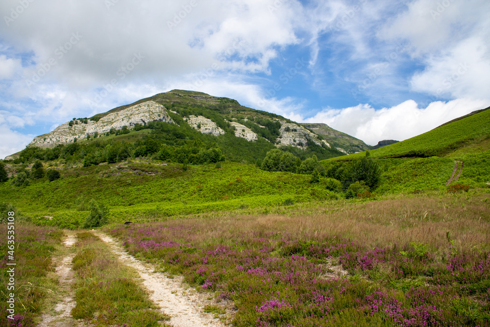 Forests and mountains in Espinosa, Spain
