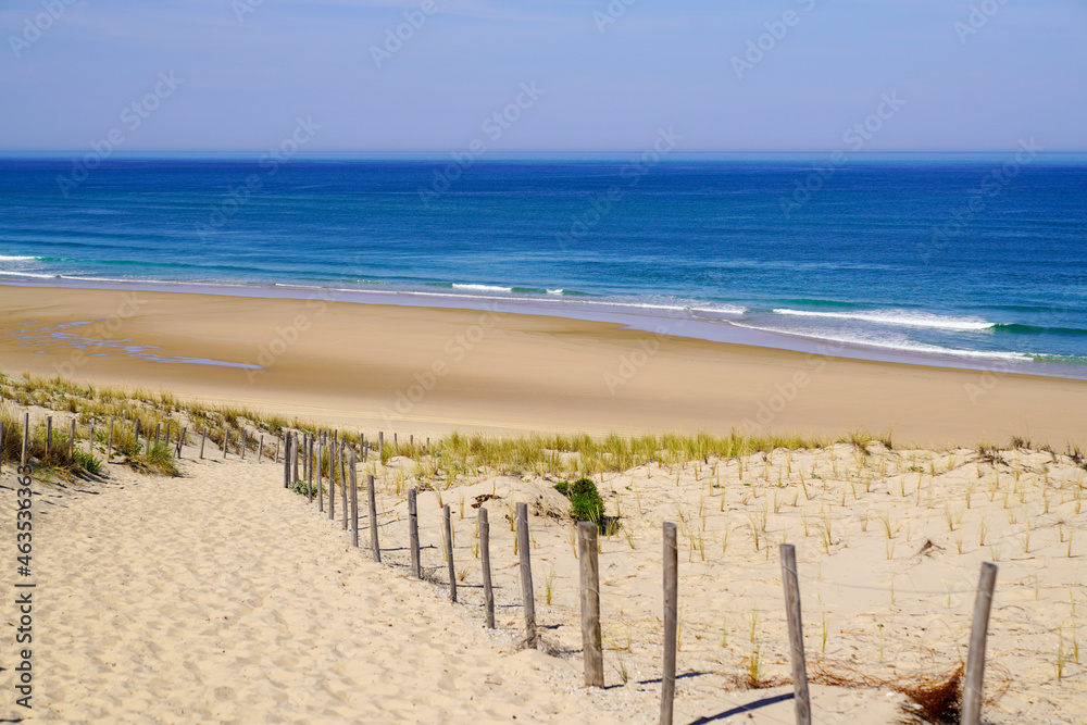 sand sea path way access Atlantic beach in sand dunes in lacanau ocean france