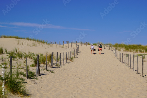Fototapeta Naklejka Na Ścianę i Meble -  women girls young walk rear behind view on the beach sand dune in summer holidays