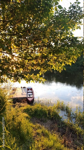 person in the forest
