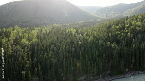 Aerial drone video of the incredible dense forest on the banks of Toad river under the sunlight in Northern British Columbia, Canada. photo