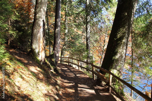  Carpathians