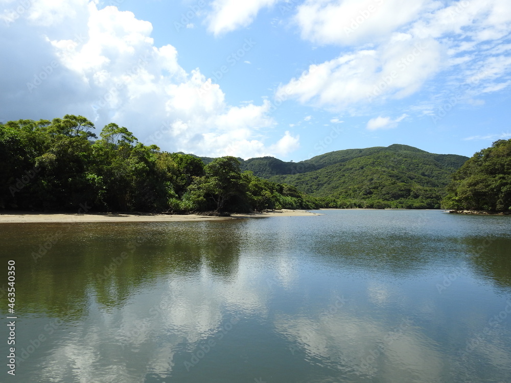 浦内川の風景