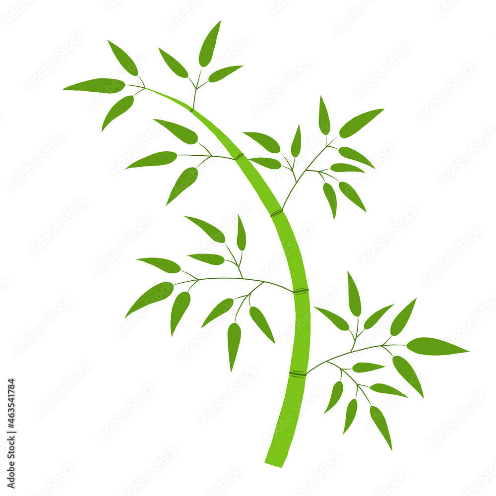 Fototapeta premium 笹の素材