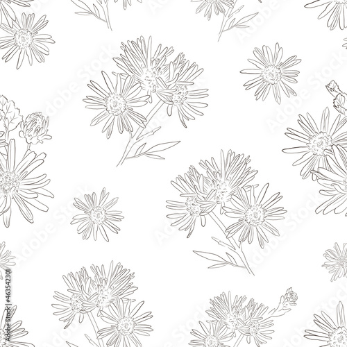 Seamless Vector Pattern with Chrysanthemums or Chamomilles - Outlines. White Background. Vintage. Romantic mood for print.