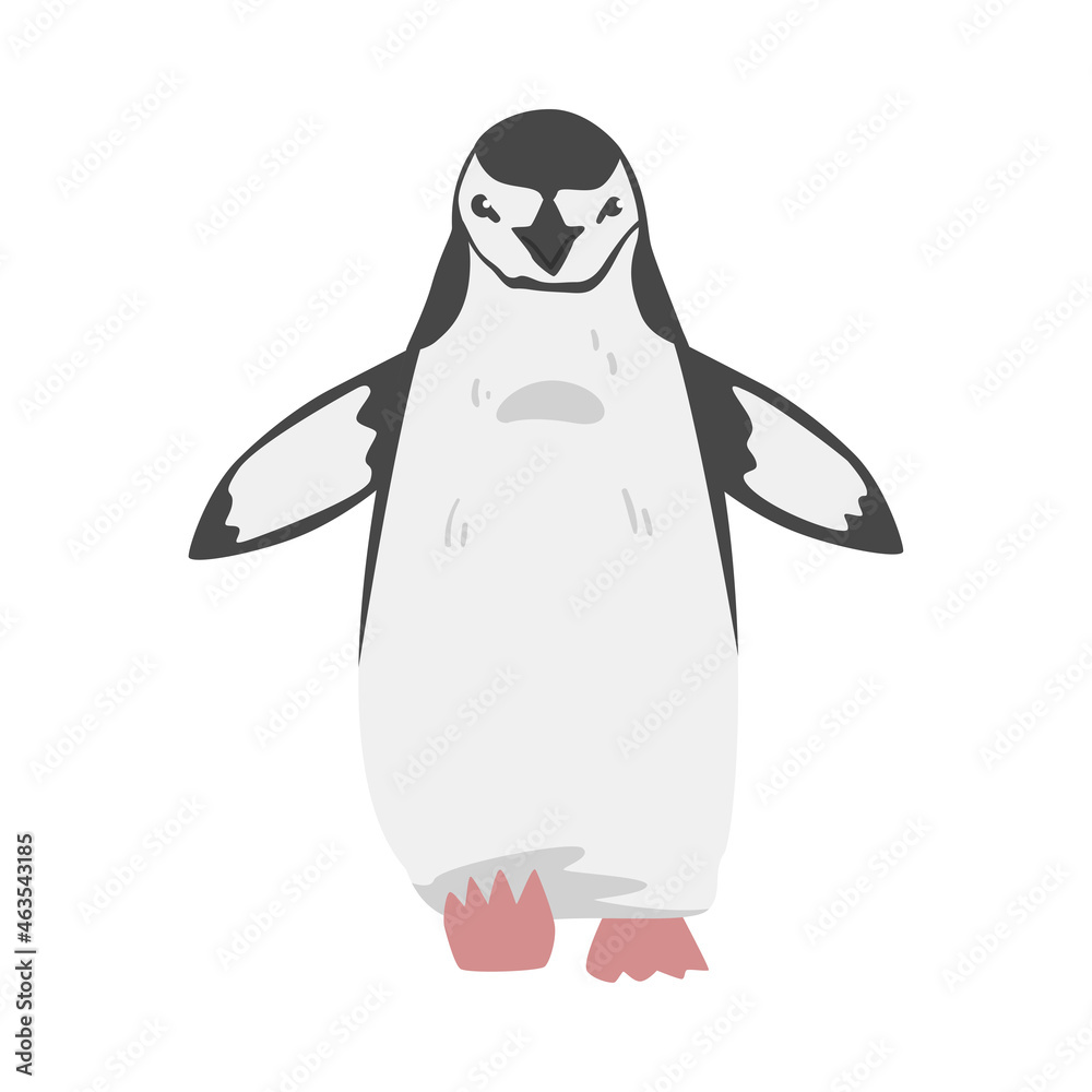 Fototapeta premium Chinstrap Penguin as Aquatic Flightless Bird with Flippers for Swimming in Standing Pose Vector Illustration
