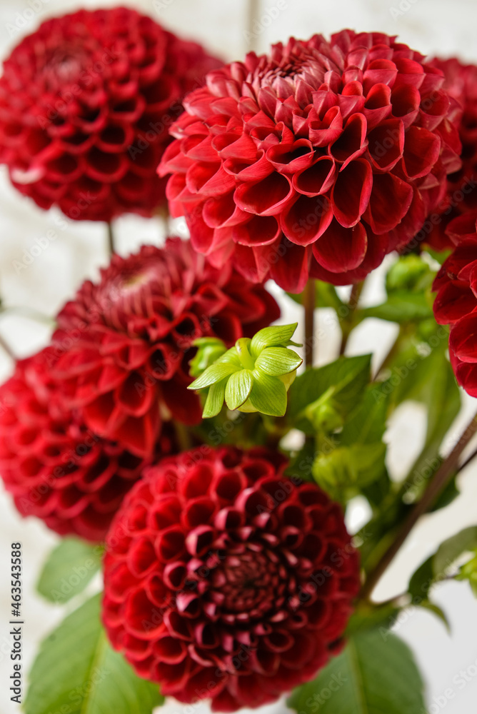 Bouquet of beautiful dahlia flowers, closeup Bouquet of beautiful dahlia flowers, closeup