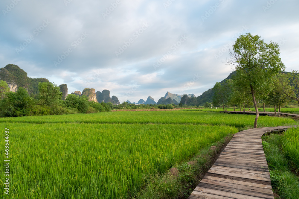 Obraz premium The natural scenery of Yangshuo, Guilin, China