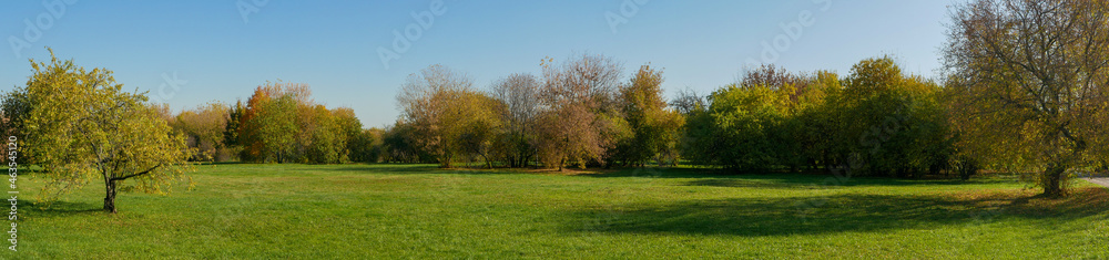 Naklejka premium Panoramic view of the green lawn and trees in a row. Museum reserve Kolomenskoye, Moscow, Russia