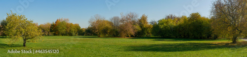 Panoramic view of the green lawn and trees in a row. Museum reserve Kolomenskoye, Moscow, Russia