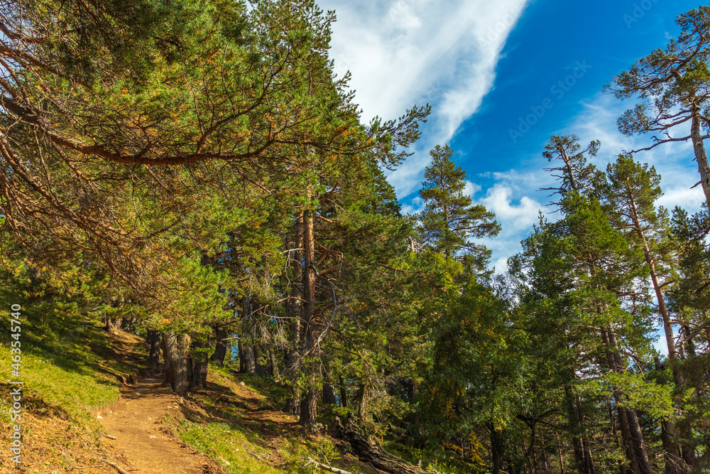 Beautiful mountain landscape, forest and clouds Beautiful mountain landscape, forest and clouds