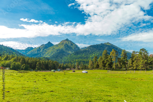 mountain meadow in morning light. countryside springtime landscape with valley in fog behind the forest on the grassy hill. fluffy clouds on a bright blue sky. nature freshness concept