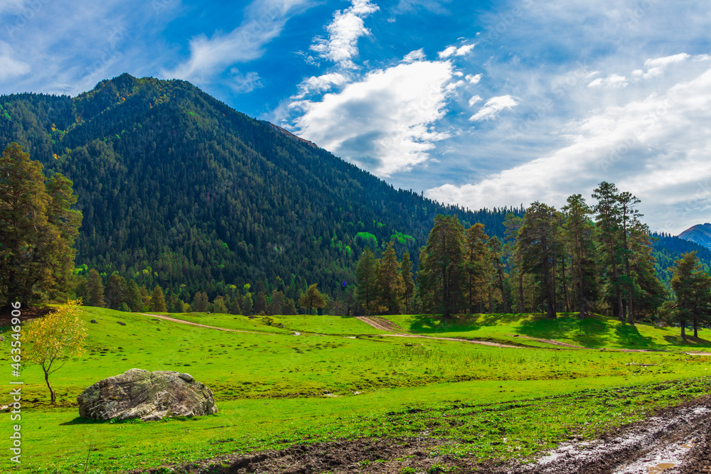 mountain meadow in morning light. countryside springtime landscape with valley in fog behind the forest on the grassy hill. fluffy clouds on a bright blue sky. nature freshness concept mountain meadow in morning light. countryside springtime landscape with valley in fog behind the forest on the grassy hill. fluffy clouds on a bright blue sky. nature freshness concept