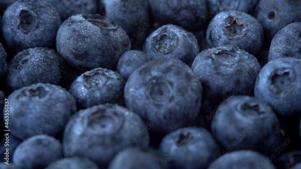 Camera movement on fresh ripe blueberry with water drops. Macro food background. Harvest, crop. Camera movement on fresh ripe blueberry with water drops. Macro food background. Harvest, crop.