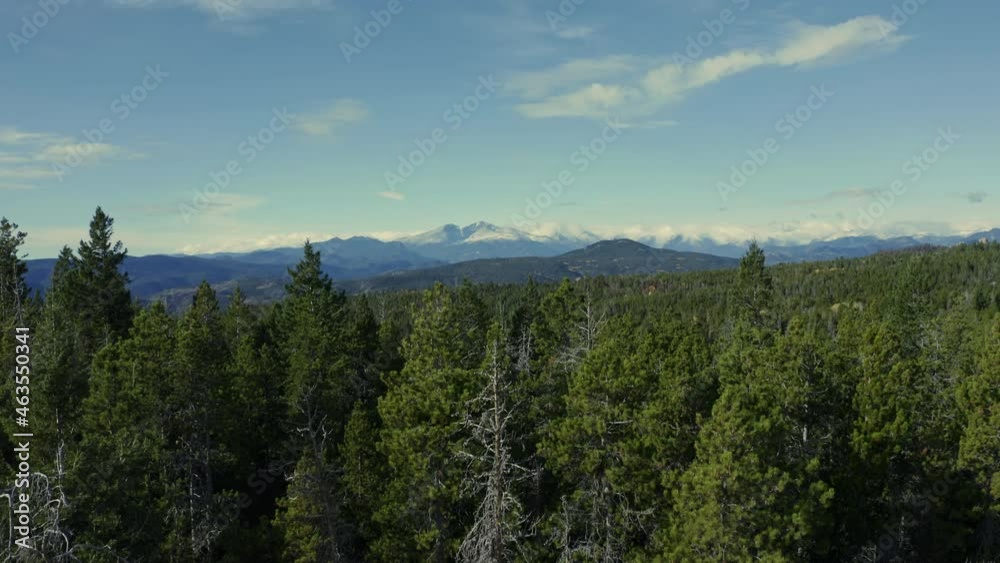 Aerial rising out of forest to reveal large snowy mountains in distance, 4K